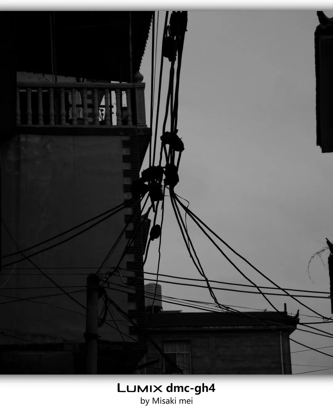 系列 18 · 雪
