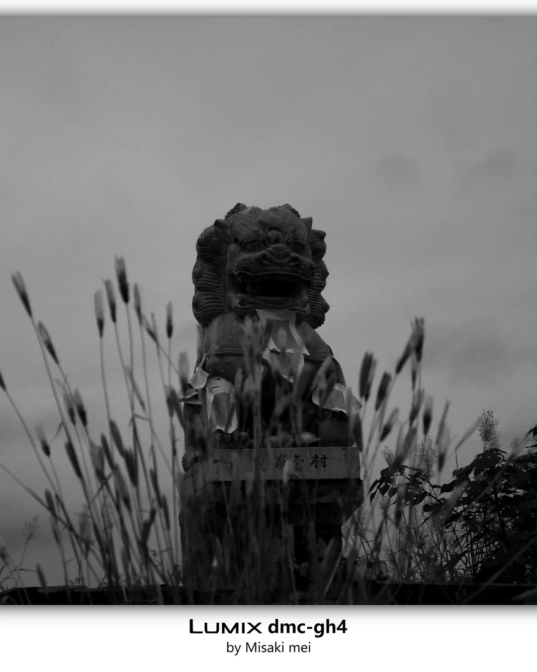 系列 18 · 雪
